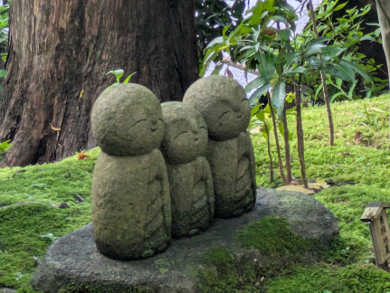 PXL 20250625 073344043